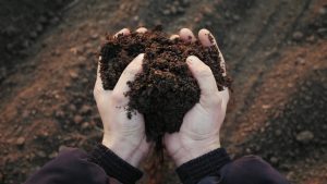 pha for soil