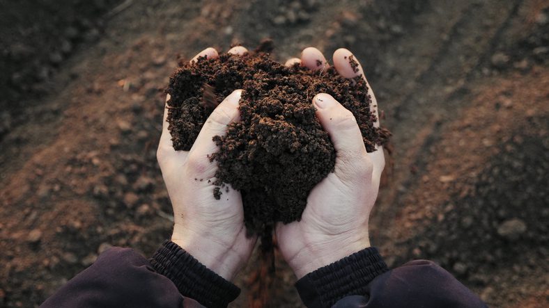 PHA as a carrier for nutrients